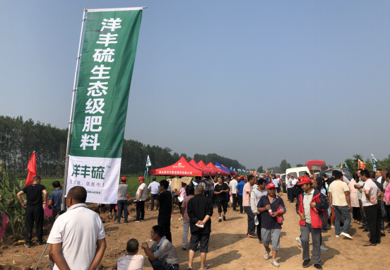 1125001714_15686243599151n.png 1125001714_15686243599151n.png