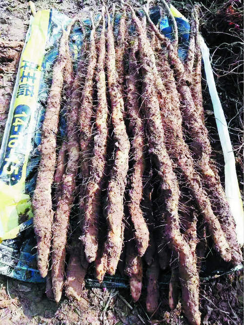 2-2s_meitu_7.jpg 2-2s_meitu_7.jpg