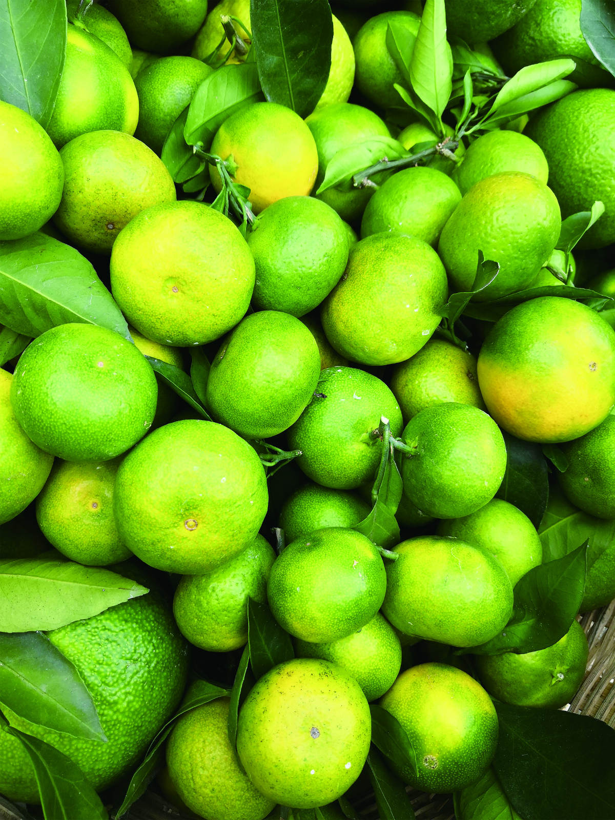 入选1ssssss_meitu_5.jpg 入选1ssssss_meitu_5.jpg