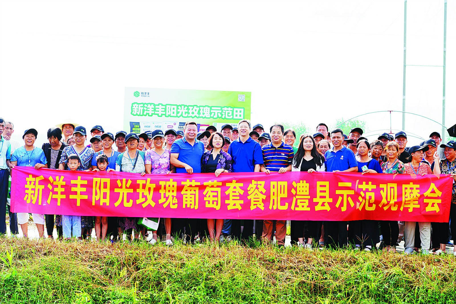 伟德国际1946阳光葡萄套餐肥澧县示范观摩_meitu_2.jpg