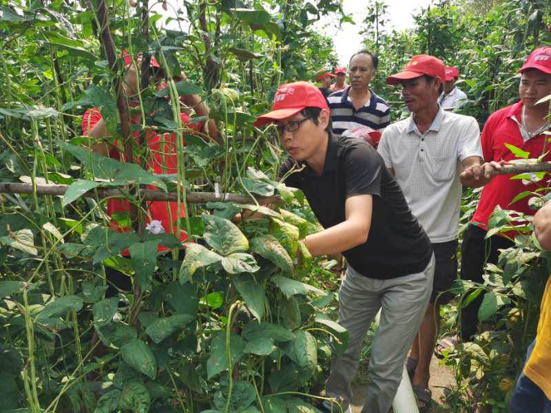 微信图片_20200821090128.jpg 微信图片_20200821090128.jpg