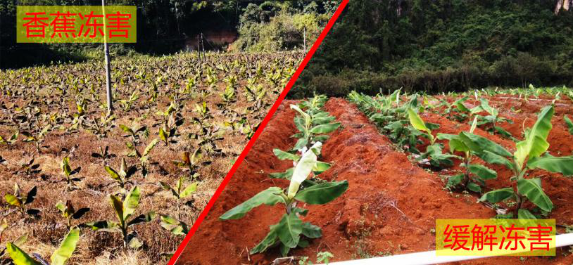 图片7.png 图片7.png