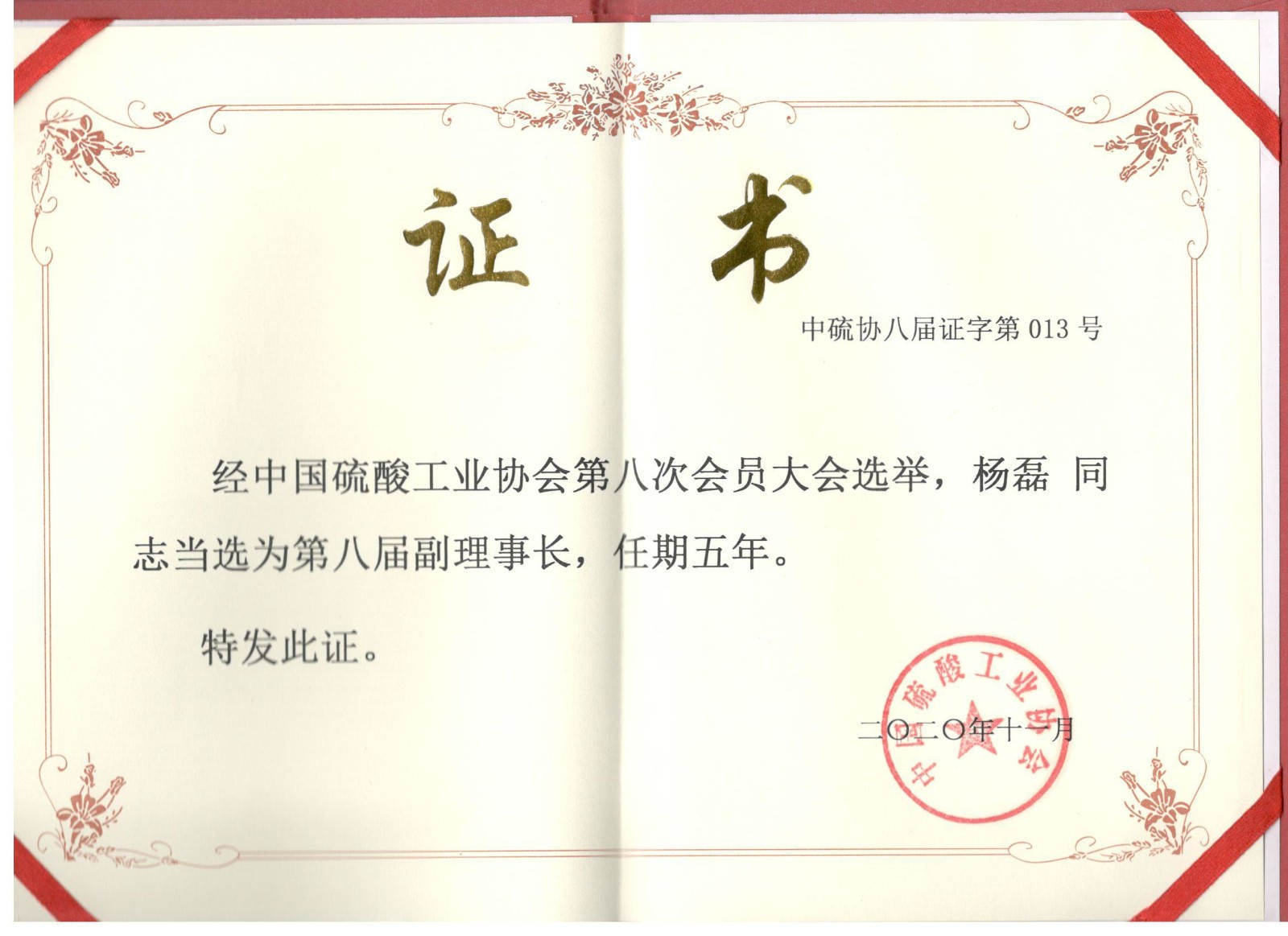 杨磊-硫酸协会副理事长.jpg 杨磊-硫酸协会副理事长.jpg