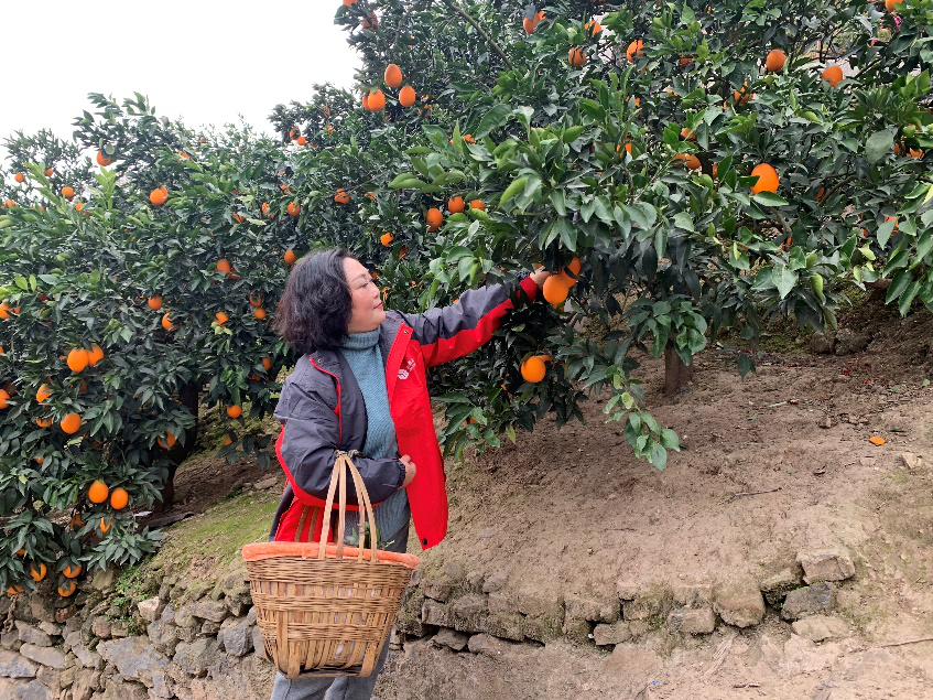 图片6.png 图片6.png