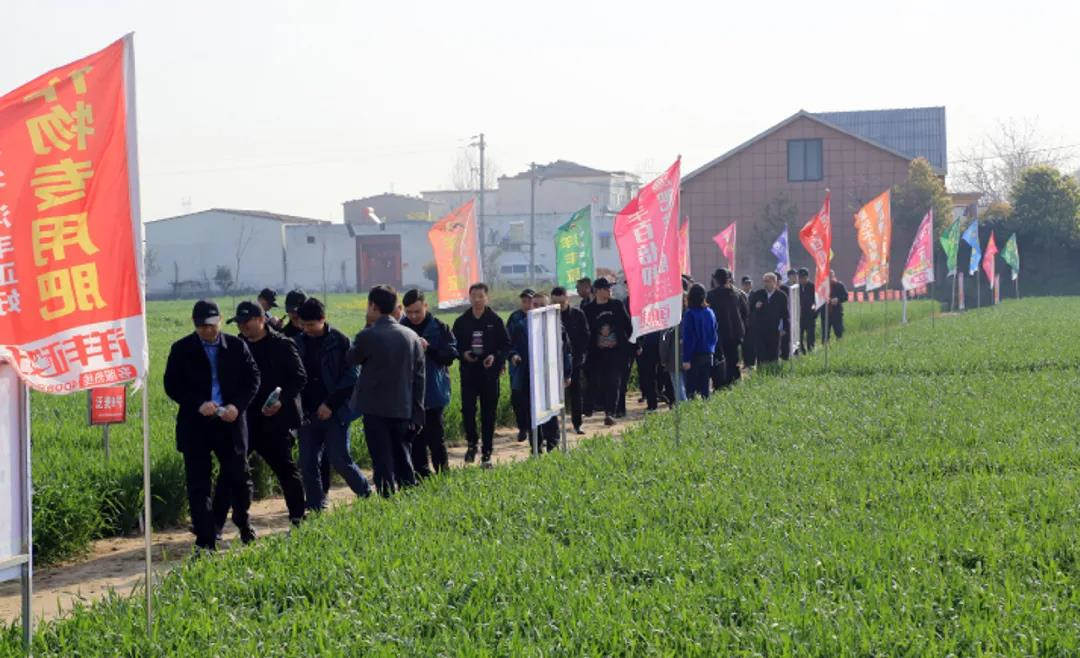 微信图片_20210402095233.jpg 微信图片_20210402095233.jpg