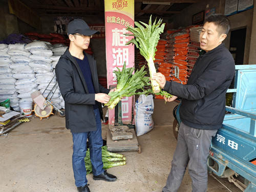 "朱金龙- 翟勇与<span style=