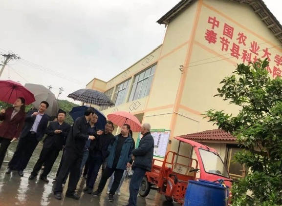 图片4张主任在科技小院服务中心作出指示.jpg 图片4张主任在科技小院服务中心作出指示.jpg