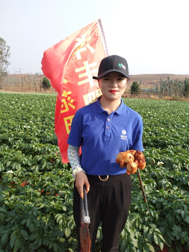 图片2.png 图片2.png