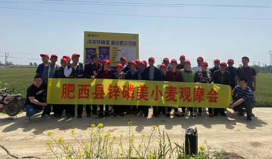 部分观摩人员在小麦示范田前合影留恋.jpg