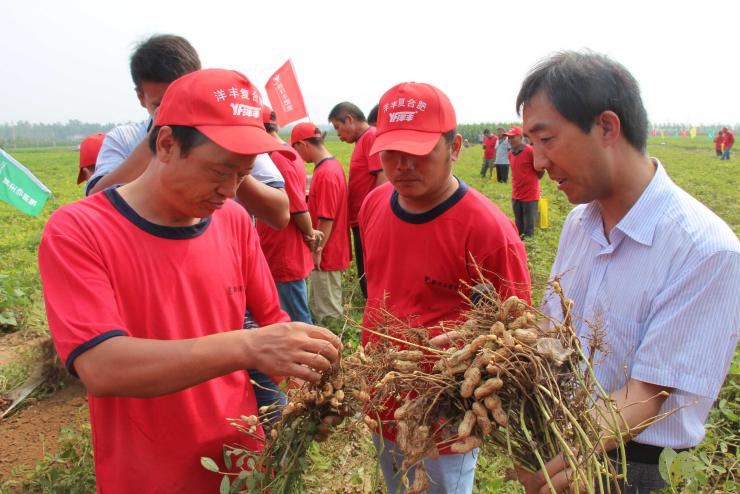 图片2.png 图片2.png