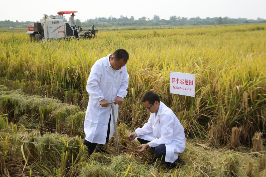 图片6.png 图片6.png