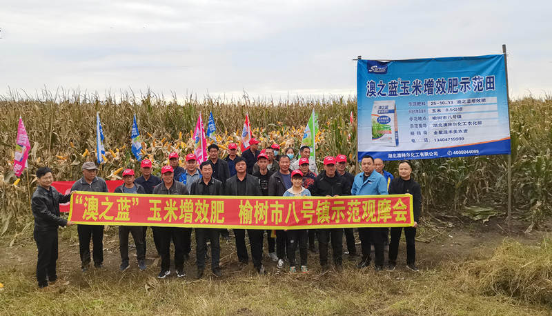 观摩会现场3_副本.jpg 观摩会现场3_副本.jpg