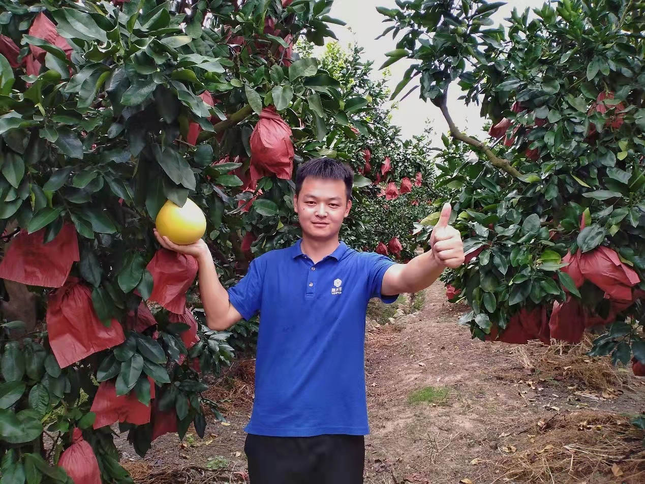 花海彬在福建平和伟德国际1946蜜柚示范田.jpg