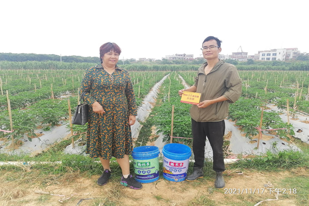 邓群珍(左)在走访蔬菜种植基地_副本.jpg 邓群珍(左)在走访蔬菜种植基地_副本.jpg