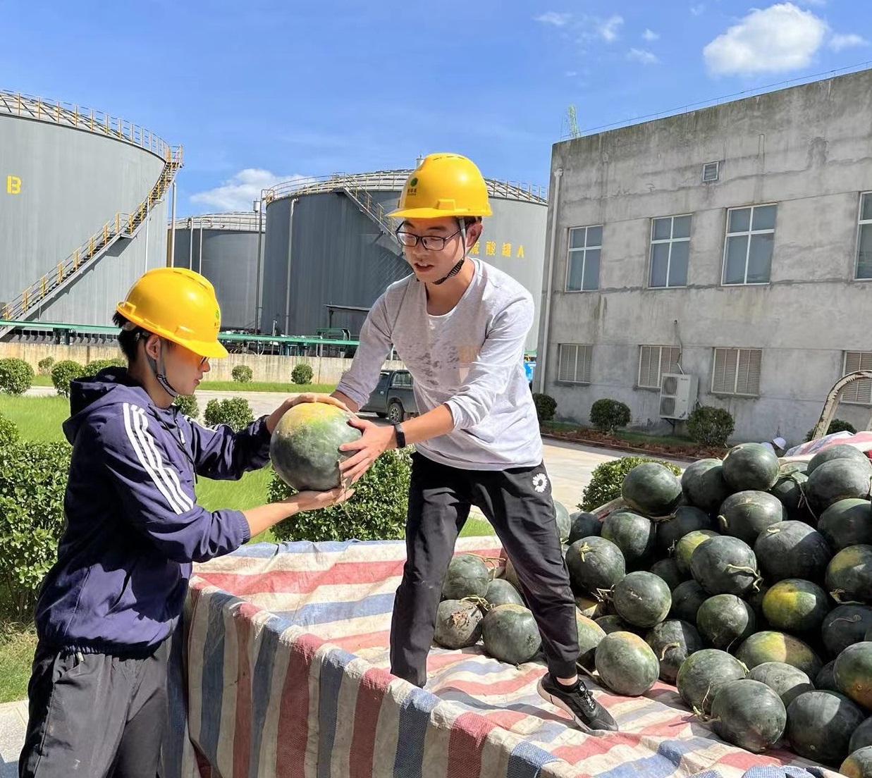 宜昌伟德国际1946为职工准备西瓜.jpg