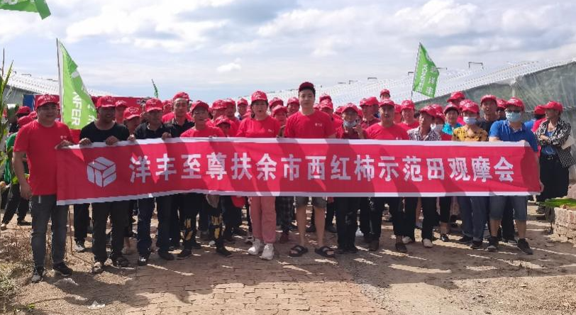 图6  8月15日洋丰至尊番茄示范田观摩会合影.jpg